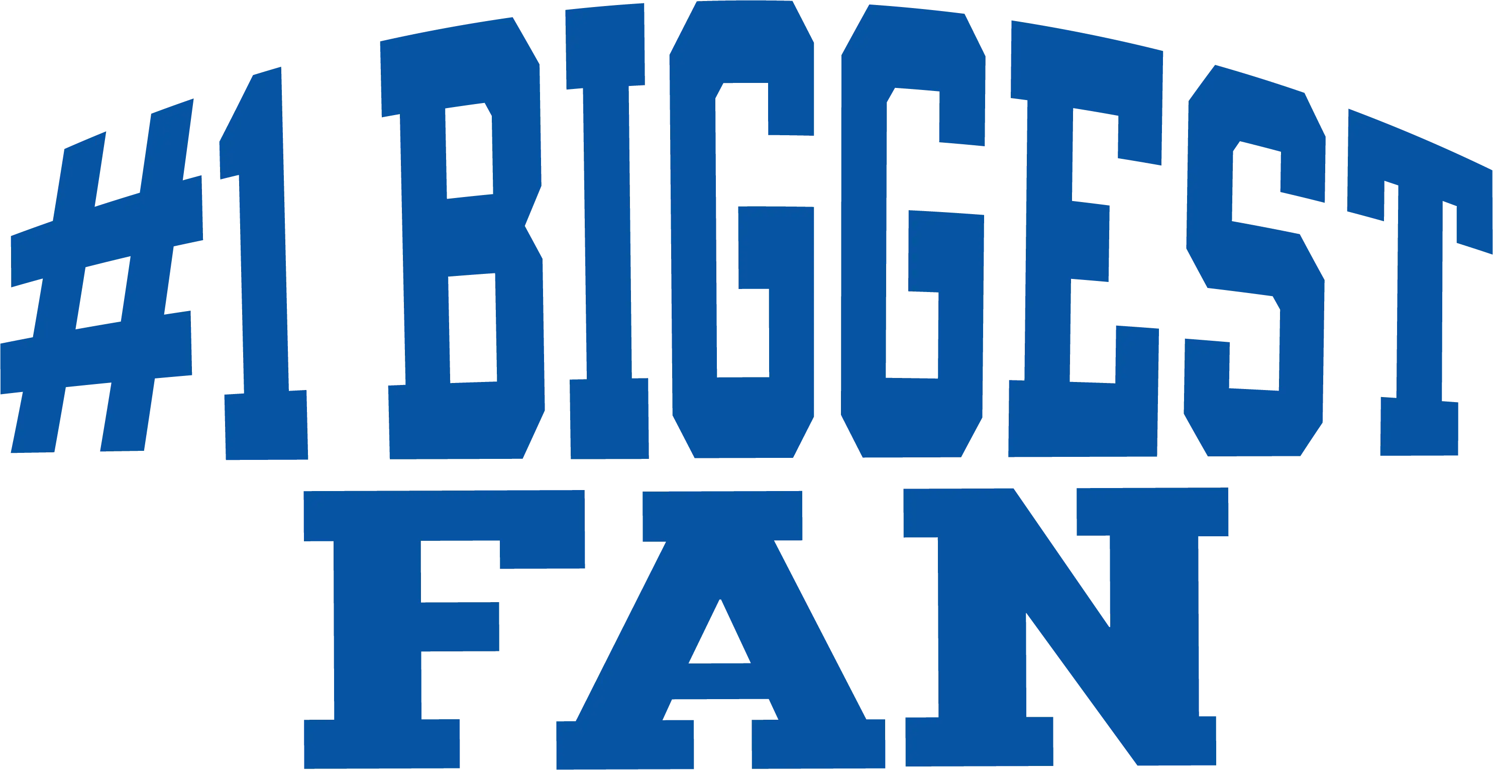 #1 Biggest Fan